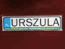 URSZULA - TABLICZKA