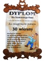 DYPLOM DLA 30 LATKA SK